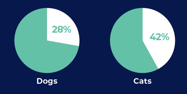 28% of dogs and 42% of cats pie chart