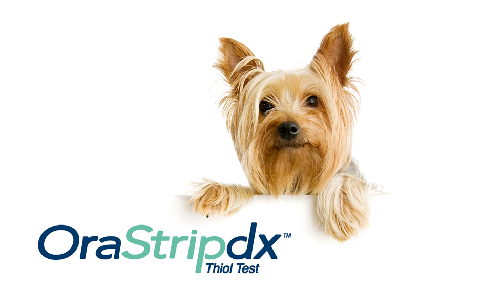 Dog on OraStripdx logo