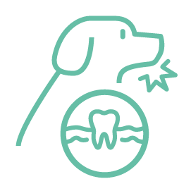 Dog and tooth icon